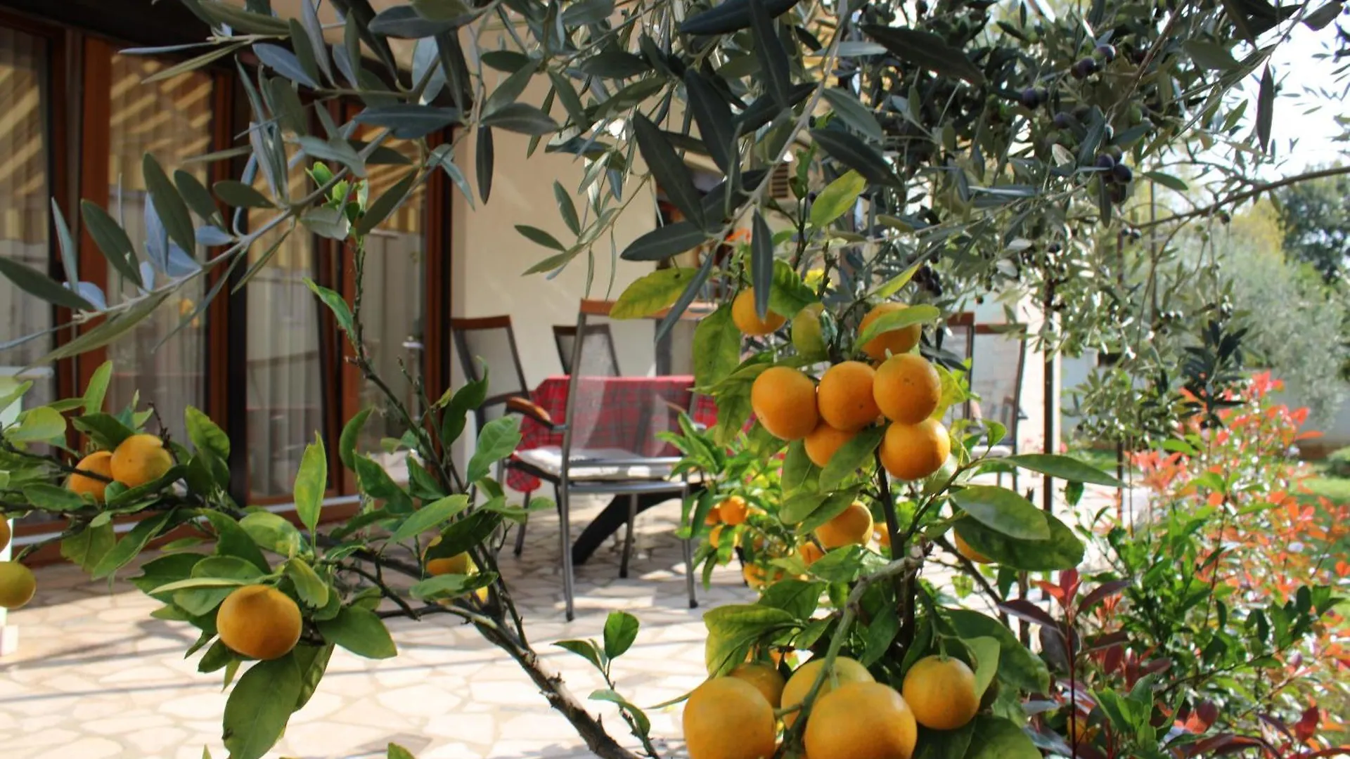 Apartman Paganor Pula